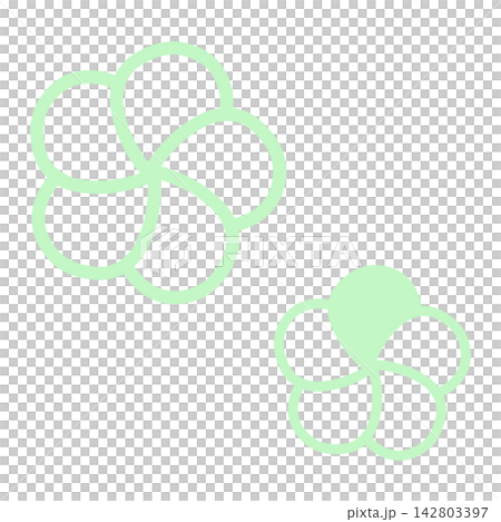 薄い緑色のねじり梅のイラスト 薄い緑色のねじり梅のイラスト 142803397