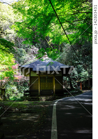 神社1 142803431
