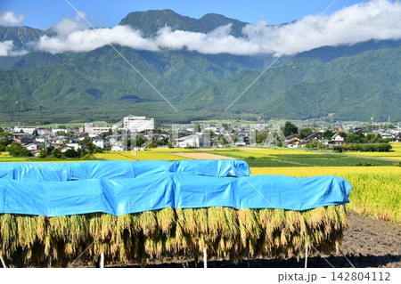 有明山方面/池田町役場、あづみ病院周辺を望む(長野県池田町)【2026.9】 有明山方面/池田町役場、あづみ病院周辺を望む(長野県池田町)【2026.9】 142804112