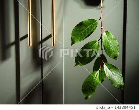 Kitchen cupboard with leaves hanging down 142804451