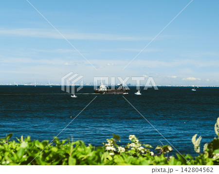 緑越しに広がる青い海と沖を行く船の爽やかな風景 142804562