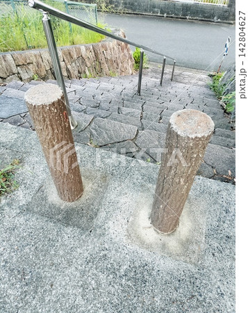 公園の階段 142804627