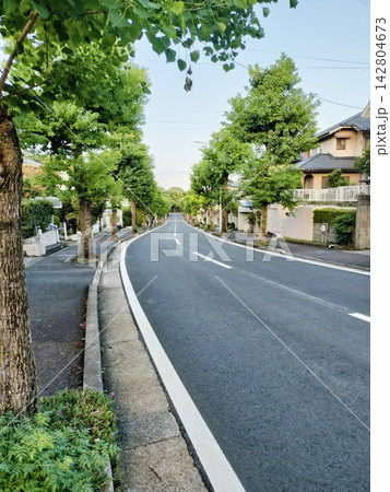 道路と街並み 142804673