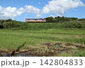 鹿島臨海鉄道　田園と列車 142804833