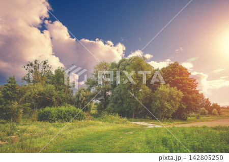 Rural landscape with the dramatic cloudy evening sky Rural landscape with the dramatic cloudy evening sky 142805250