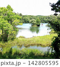 グリーン一杯夏の名残りの一碧湖 142805595
