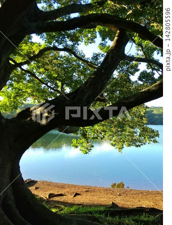 夏の名残りの一碧湖 142805596