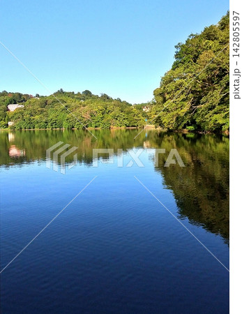 グリーン一杯夏の名残りの一碧湖 グリーン一杯夏の名残りの一碧湖 142805597