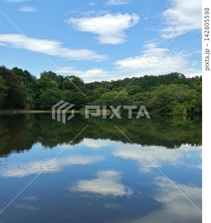 夏の名残りの一碧湖 142805598