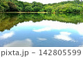 夏の名残りの一碧湖 142805599
