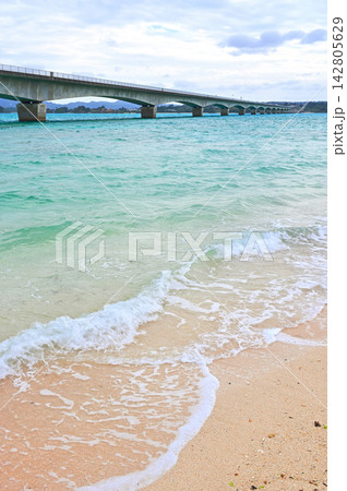 沖縄県の古宇利島　古宇利ビーチより古宇利大橋を眺める 142805629
