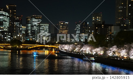 川辺を彩るライトアップされた満開の夜桜 川辺を彩るライトアップされた満開の夜桜 142805915