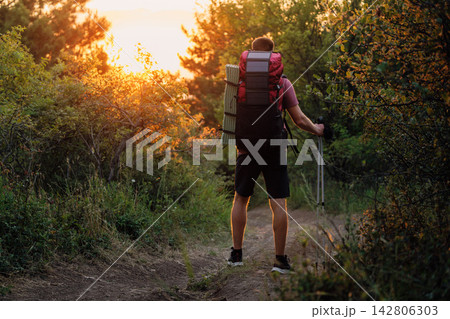 Hiker in forest with backpack and poles at sunset. Summer hiking concept 142806303