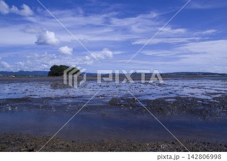 和歌山県の天神崎付近の海の風景。 和歌山県の天神崎付近の海の風景。 142806998