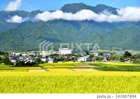 有明山方面／池田町役場、あづみ病院周辺を望む(長野県池田町)【2026.9】 142807884