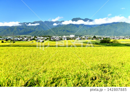 有明山方面/池田町役場、あづみ病院周辺を望む(長野県池田町)【2026.9】 有明山方面/池田町役場、あづみ病院周辺を望む(長野県池田町)【2026.9】 142807885