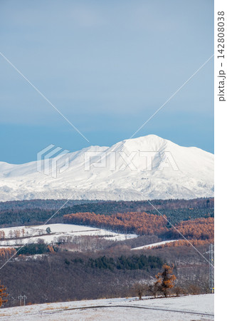 唐松が黄金色に変化した丘陵地帯と冠雪の山並み 大雪山 唐松が黄金色に変化した丘陵地帯と冠雪の山並み 大雪山 142808038