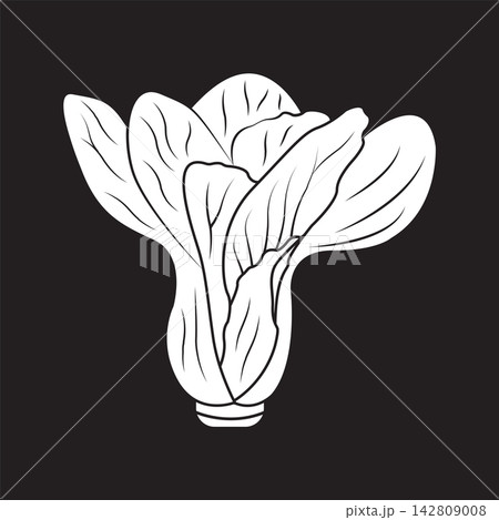 Minimalist Bok Choy Vegetable Vector Illustration Isolated on Black  Background 142809008