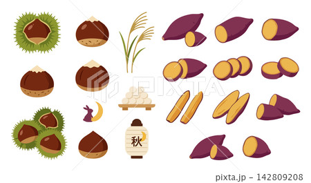 Autumn food and symbols set: chestnuts, sweet potatoes and Tsukimi elements vector illustration Autumn food and symbols set: chestnuts, sweet potatoes and Tsukimi elements vector illustration 142809208
