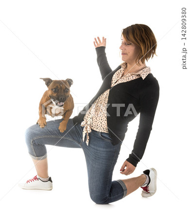 staffordshire bull terrier and woman staffordshire bull terrier and woman 142809380