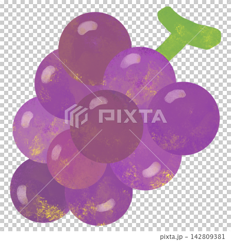 A simple and cute illustration of grapes A simple and cute illustration of grapes 142809381