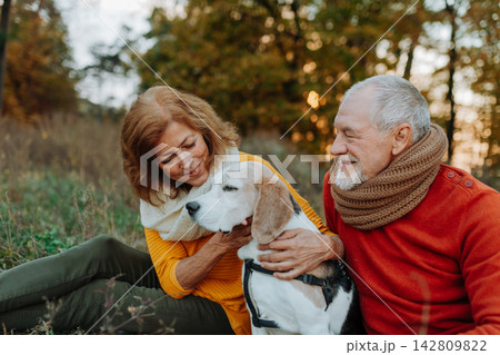 Senior couple walking dog in autumn forest. 142809822