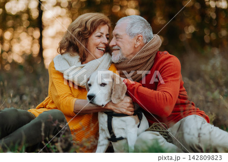 Senior couple walking dog in autumn forest. Senior couple walking dog in autumn forest. 142809823