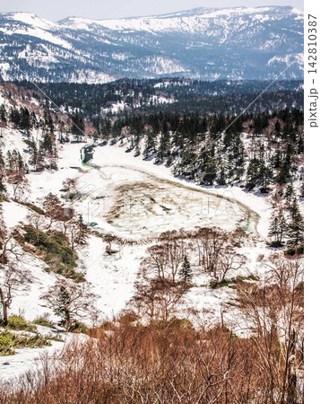 aerial view of winter forest in mountains aerial view of winter forest in mountains 142810387