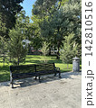 Wooden park bench, surrounded by grass and trees in a city park. 142810516