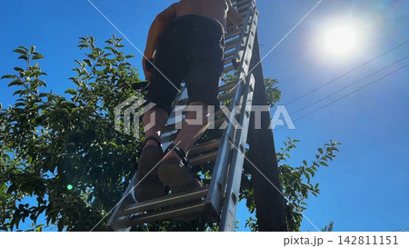 Male labor climb a ladder attached to utility pole while hold drill, preparing to install equipment. Worker perform installation work at height carefully securing components during construction tasks Male labor climb a ladder attached to utility pole while hold drill, preparing to install equipment. Worker perform installation work at height carefully securing components during construction tasks 142811151