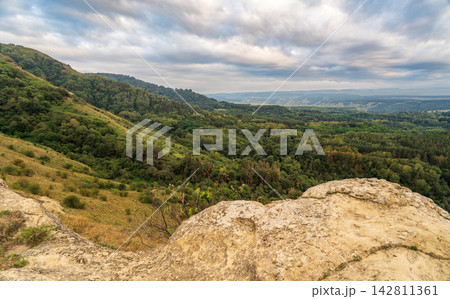 Summer Mountains Landscape with Green forest. Summer Mountains Landscape with Green forest. 142811361