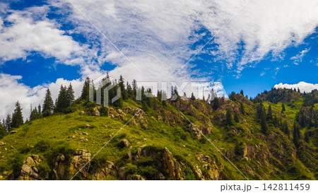 Majestic mountain landscape with evergreen trees and clouds 142811459