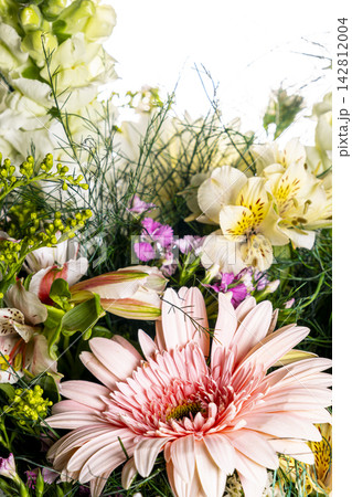 Flower Bouquet Detail on White Background.  142812004