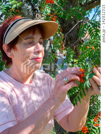 Senior individual engaged in backyard gardening as a relaxing seasonal pastime during the golden autumn months 142812315