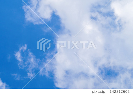 Soft white clouds floating across vibrant blue sky on bright day. Beautiful daytime skyscape background with natural light. Concept of freedom and peace. 142812602