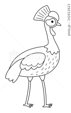 Vector cartoon black and white crowned crane. African or safari animal clipart. Cute savannah bird icon for kids. Line savanna element. Africa wildlife illustration, coloring page 142812623