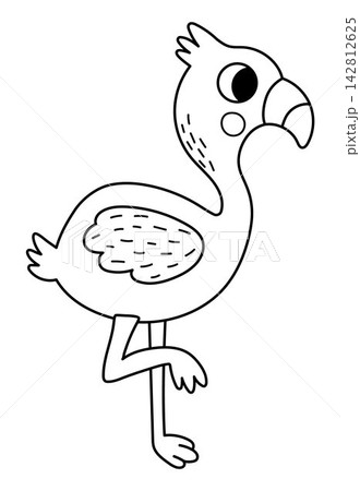 Vector cartoon black and white flamingo. Funny African or safari animal clipart. Cute savannah bird icon for kids. Line savanna element. Africa wildlife illustration, coloring page Vector cartoon black and white flamingo. Funny African or safari animal clipart. Cute savannah bird icon for kids. Line savanna element. Africa wildlife illustration, coloring page 142812625