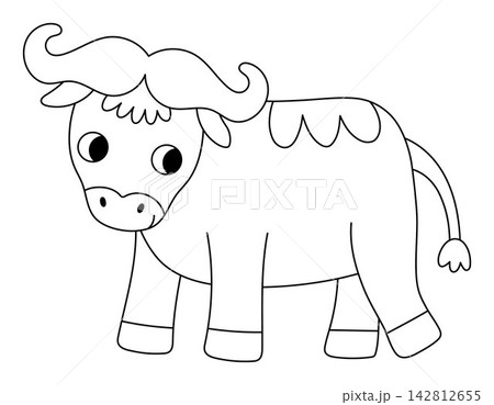 Vector cartoon black and white buffalo. Funny African or safari animal clipart. Cute savannah bull icon for kids. Line savanna element. Africa wildlife illustration, coloring page Vector cartoon black and white buffalo. Funny African or safari animal clipart. Cute savannah bull icon for kids. Line savanna element. Africa wildlife illustration, coloring page 142812655