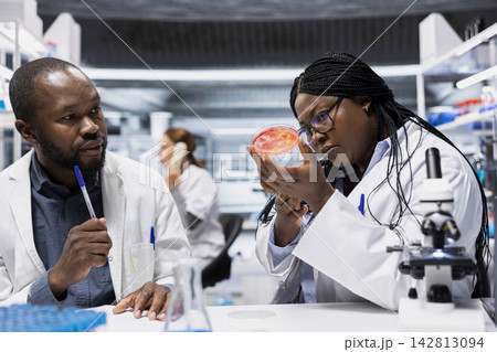 Chemical engineers in laboratory inspect petri dish sample for contamination signs. African american coworkers in lab looking at bacterial culture, studying cell culture progress, doing experiments Chemical engineers in laboratory inspect petri dish sample for contamination signs. African american coworkers in lab looking at bacterial culture, studying cell culture progress, doing experiments 142813094