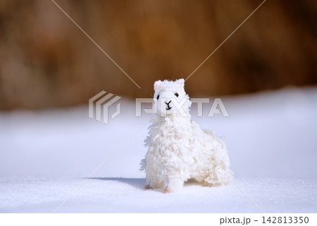 雪の上のアルパカのぬいぐるみ 雪の上のアルパカのぬいぐるみ 142813350
