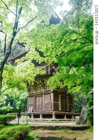 【滋賀県東近江市】金剛輪寺　新緑に囲まれた三重塔 142813821