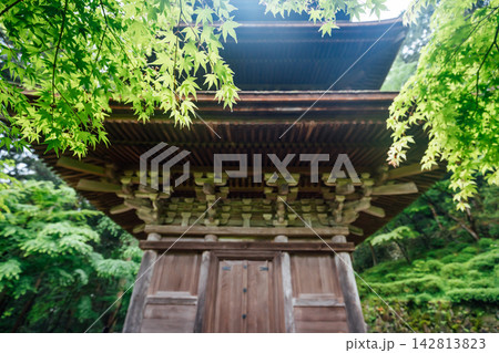 【滋賀県東近江市】金剛輪寺 新緑と三重塔 【滋賀県東近江市】金剛輪寺 新緑と三重塔 142813823
