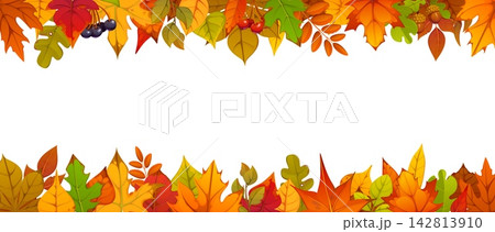 Autumn leaves border frame with berries and acorns for fall season decoration background. Autumn leaves frame with foliage bunch of bright seasonal forest maple or oak tree, rowan and willow leaf Autumn leaves border frame with berries and acorns for fall season decoration background. Autumn leaves frame with foliage bunch of bright seasonal forest maple or oak tree, rowan and willow leaf 142813910
