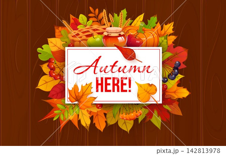 Autumn fall season banner with Thanksgiving harvest or pumpkins and bright leaves. Autumn Here quote for fall holiday with maple and oak leaves, apple pie and rowan berries or wheat with honey jar 142813978