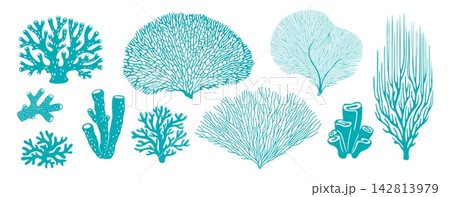 Coral silhouettes of sea reef seaweed or ocean underwater plants and weeds. Coral icons of aquatic algae for marine nature design elements or cartoon patterns of aquarium and undersea water fauna 142813979