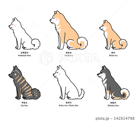 6種類の日本犬(横向き・お座り)のセットのベクターイラスト 6種類の日本犬(横向き・お座り)のセットのベクターイラスト 142814798