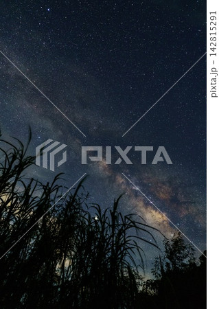満天の星空に浮かぶ天の川 満天の星空に浮かぶ天の川 142815291