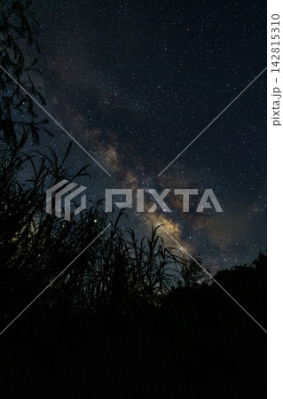 満天の星空に浮かぶ天の川 満天の星空に浮かぶ天の川 142815310