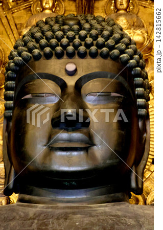 東大寺大仏殿・大仏さま・世界最大の金銅仏(奈良県・奈良市) 東大寺大仏殿・大仏さま・世界最大の金銅仏(奈良県・奈良市) 142815662