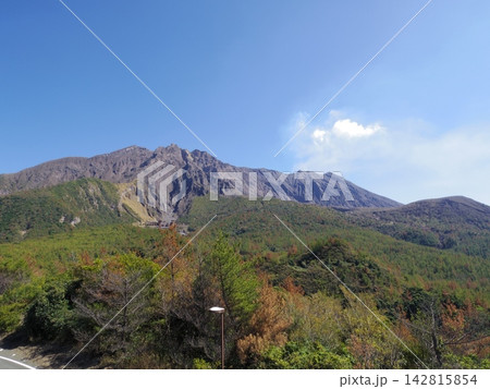 湯之平展望所より望む桜島(鹿児島県鹿児島市) 湯之平展望所より望む桜島(鹿児島県鹿児島市) 142815854